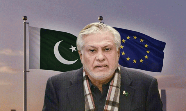 پاکستان اور یورپی یونین کے مابین اسٹریٹجک ڈائیلاگ کا ساتواں دور برسلز میں منعقد