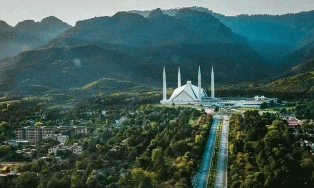 نیبرہوڈ سروے کیا ہے اور یہ کسی علاقے کی سیکیورٹی کے لیے کیوں ضروری ہے؟