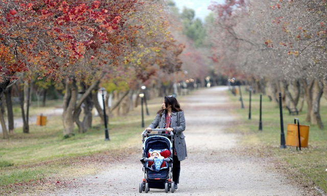 اسلام آباد میں شدید سردی اور خشک موسم: شہری وائرل انفیکشنز کی لپیٹ میں