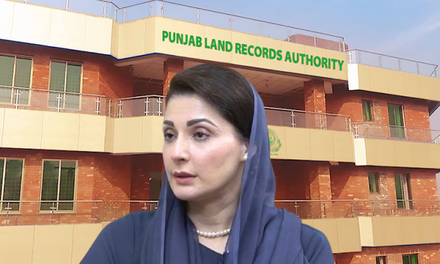 پنجاب میں 90 روز کے اندر زمینوں سے قبضہ ختم کروانے کا طریقہ کار کیا ہے؟