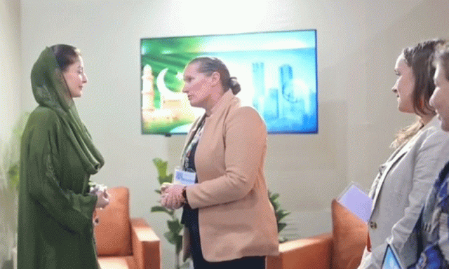 وزیراعلیٰ پنجاب مریم نواز کلائمٹ چینج واریئر قرار