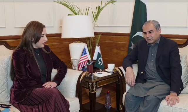 محسن نقوی سے قائم مقام امریکی سفیر کی ملاقات، اسلام آباد دھماکے کی مذمت