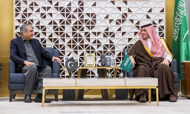 وزیر داخلہ محسن نقوی کی سعودی ہم منصب سے ملاقات؛ سکیورٹی تعاون، تربیتی پروگرام پر اتفاق