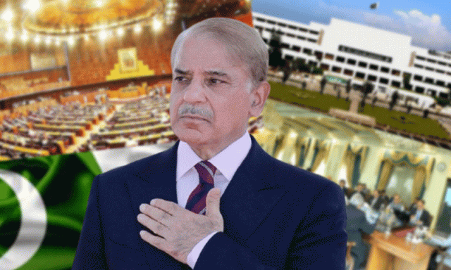 مجوزہ آئینی ترمیم میں وزیراعظم کو استثنیٰ فی الفور واپس لیا جائے، شہباز شریف کی اپنے سینیٹرز کو ہدایت