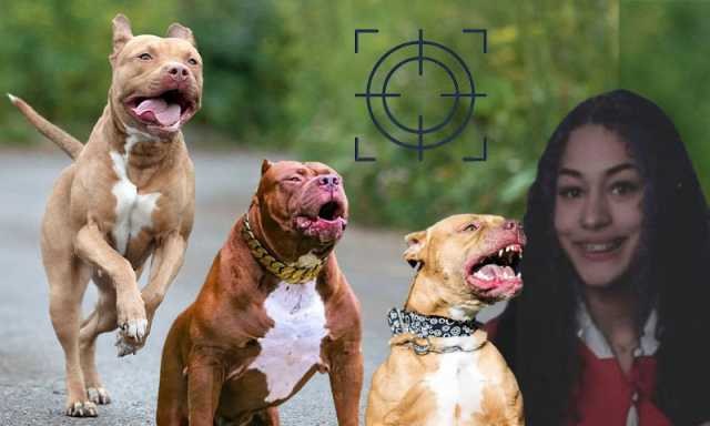 23 سالہ طالبہ اپنے پالتو کتوں کے حملے میں ہلاک