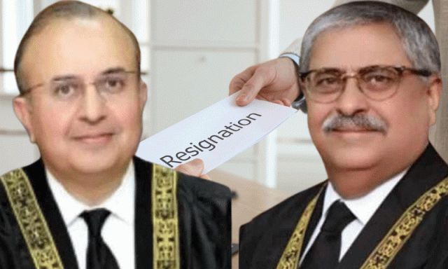 ججز کے استعفوں کو سیاسی رنگ نہ دیا جائے، علی محمد خان