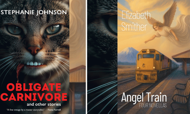 2 نمایاں مصنفین کی کتابیں سرورق میں اے آئی کے استعمال پر اعلیٰ ترین انعام سے خارج