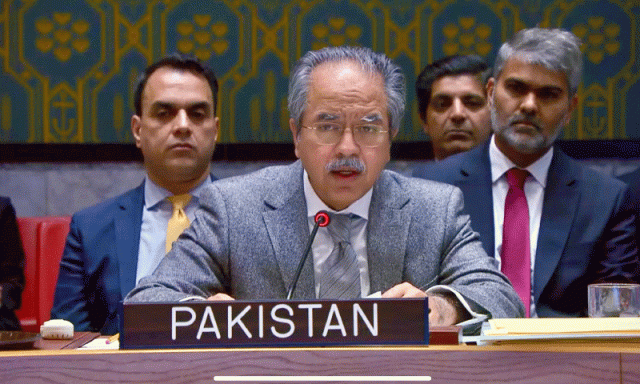 افغانستان میں دہشتگردوں کو جدید اسلحے کی فراہمی امن کے لیے خطرہ، پاکستان کا اقوامِ متحدہ میں انتباہ