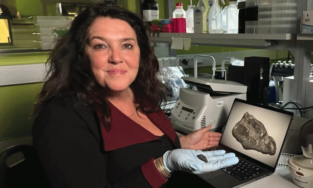 سائنسدانوں کو 10 ہزار سال قدیم ‘چیونگم’ کا سراغ مل گیا، اسے چبانے والا کون تھا؟