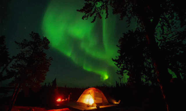 امریکا کے آسمان پر روشنیوں اور رنگینیوں کا رقص