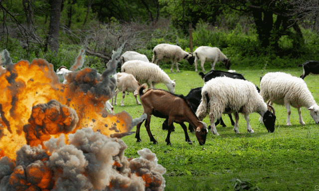 کندھ کوٹ میں المناک حادثہ، زرعی زمین میں راکٹ کا گولا پھٹنے سے 3 کمسن بچے جاں بحق