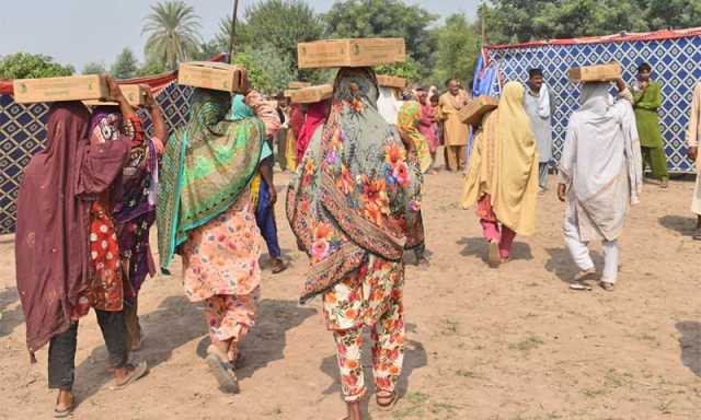 کنگ سلمان ریلیف سینٹر کی جانب سے پنجاب کے حالیہ سیلاب سے متاثرہ افراد میں 180 ٹن کھجوروں کی تقسیم
