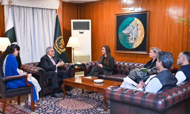 اسحاق ڈار سے امریکی ناظم الامور کی ملاقات، غزہ سمیت دیگر امور پر تبادلہ خیال