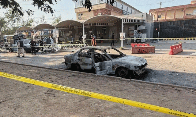 افغانستان خود کش حملہ آوروں کے ذریعے ہی لانگ رینج حملے کرسکتا ہے، طلال چوہدری