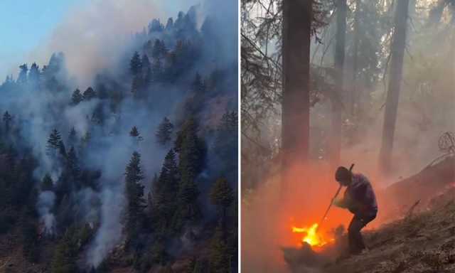 نیلم ویلی کے جنگلات میں آگ: قیمتی دیودار، جڑی بوٹیاں اور جنگلی حیات شدید خطرے میں