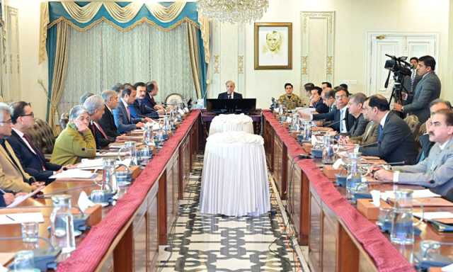 دوطرفہ اور ٹرانزٹ ٹریڈ کے لیے بارڈر پر کسٹم ڈیوٹی کی سخت نگرانی یقینی بنائی جائے، وزیراعظم شہباز شریف