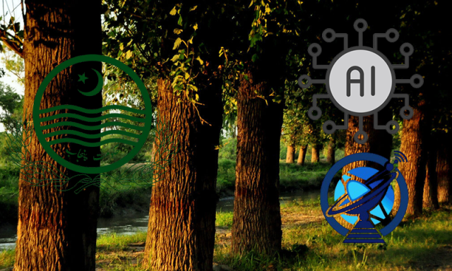 پنجاب میں جنگلات کے تحفظ کے لیے  پہلی مرتبہ اے آئی کا استعمال اور جدید سیٹلائٹ مانیٹرنگ کا آغاز