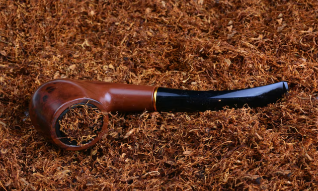 انسانی عادات و رویوں پر اثر انداز ہونے والے تمباکو کا سفر