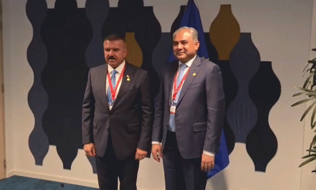  برسلز میں پاک عراق وزرائے داخلہ کی اہم ملاقات، زائرین کی سہولت اور سیکیورٹی تعاون بڑھانے پر اتفاق