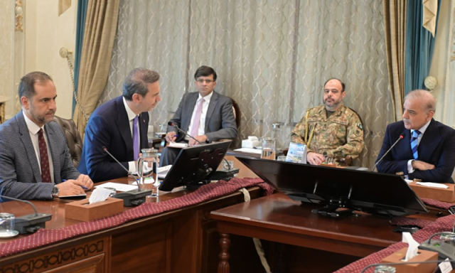 وزیراعظم شہباز شریف کی ترک کمپنیوں کو توانائی کی مارکیٹ میں سرمایہ کاری بڑھانے کی دعوت