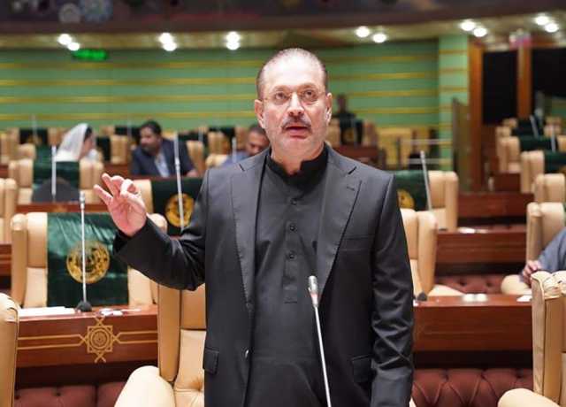 صوبائی حکومتوں نے فیصلہ کرنا ہے زرعی ٹیکس لگانا ہے یا نہیں، شرجیل میمن