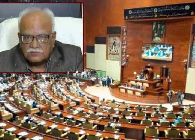 سندھ میں سینیٹ کی جنرل نشست پر پیپلزپارٹی کے وقار مہدی بھاری اکثریت سے کامیاب