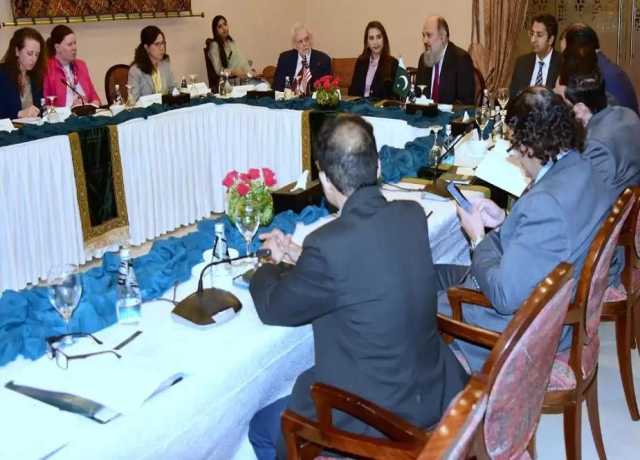 پاکستان میں کاروباری مواقع حوصلہ افزا ہیں، یو ایس پاکستان بزنس کونسل