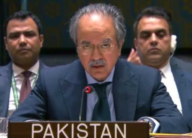 پاکستان ذمہ دار جوہری ریاست، امن چاہتے ہیں، عاصم افتخار