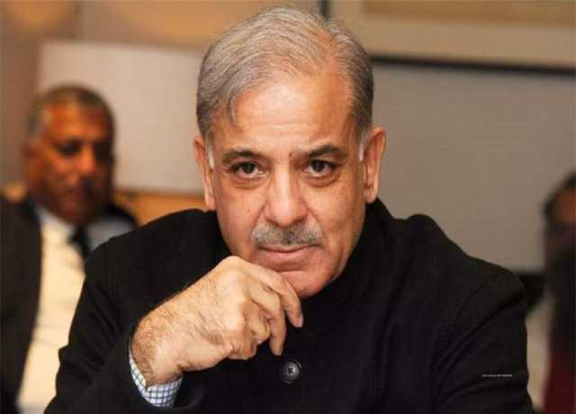 بھرپور جواب دیکر بے گناہوں کے خون کا بدلہ لے لیا ہے، شہباز شریف