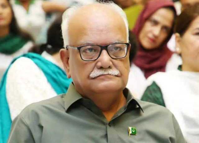 خارجہ محاذ پر صرف بلاول بھٹو زرداری ہی پاکستان کا بہتر دفاع کر سکتے ہیں، سینیٹر وقار مہدی