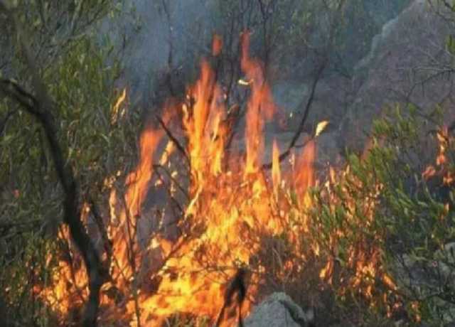 مالاکنڈ میں پہاڑی سلسلے میں آگ لگ گئی