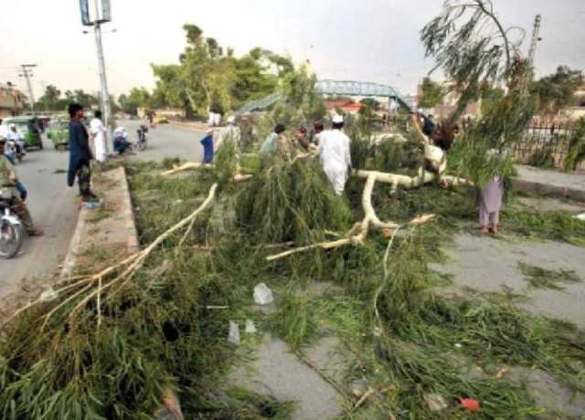 پشاور میں آندھی نے تباہی مچادی، بچے سمیت 3 افراد جاں بحق