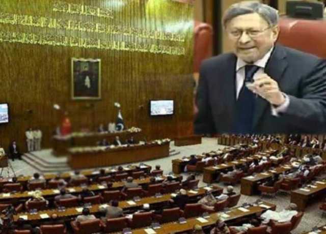 فاروق ایچ نائیک نے لیگل پریکٹیشنرز اینڈ بار کونسلز (ترمیمی) بل سینیٹ میں پیش کردیا