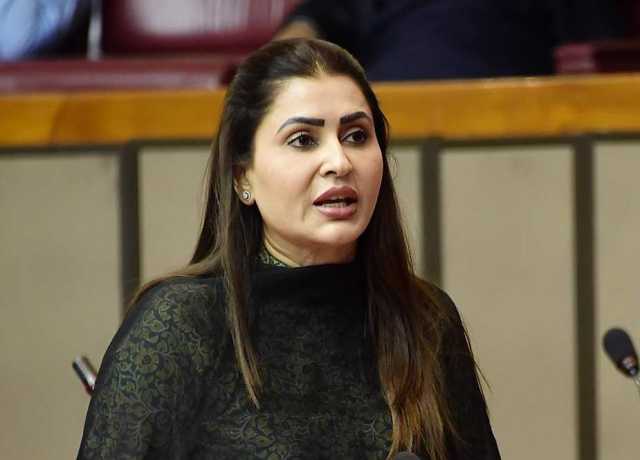 بلاول بھٹو زرداری نے پاکستان کا بیانیہ کامیابی سے پیش کیا، شازیہ مری