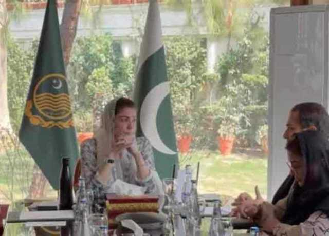 کسانوں کے مفادات کا ہر صورت تحفظ کیا جائے گا، مریم نواز
