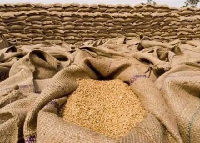 کے پی، گندم اسکینڈل میں ملوث ملزمان کی عبوری ضمانتیں خارج