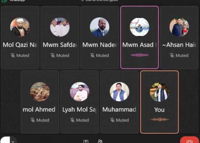 ایم ڈبلیو ایم جنوبی پنجاب کی ورکنگ کمیٹی کا پہلا آن لائن اجلاس، علامہ احمد اقبال رضوی اور اسد نقوی شریک