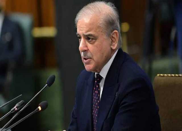 ایران پر اسرائیلی حملوں کی شدید ترین الفاظ میں مذمت کرتے ہیں، شہباز شریف
