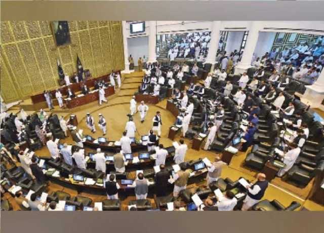 پشاور، پی ٹی آئی رکن کی اپنی حکومت کے خلاف احتجاجاً ایوان سے واک آؤٹ کی دھمکی