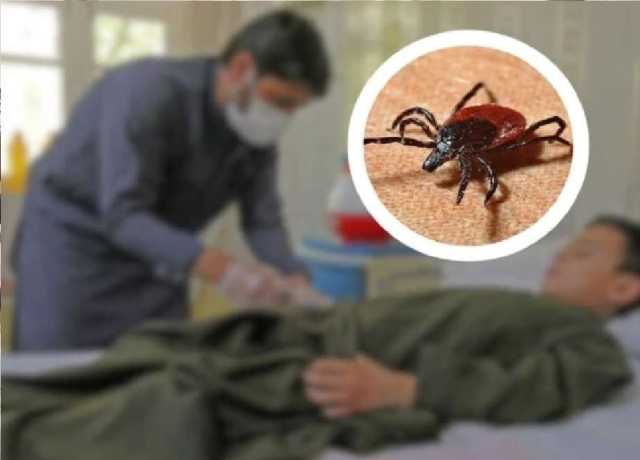 پشاور، کانگو وائرس کے متاثرہ دو مریض اسپتال داخل