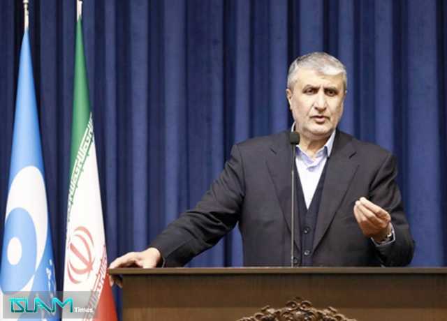سربراہ آئی اے ای اے کا کردار 'تخریبکارانہ' ہے، محمد اسلامی