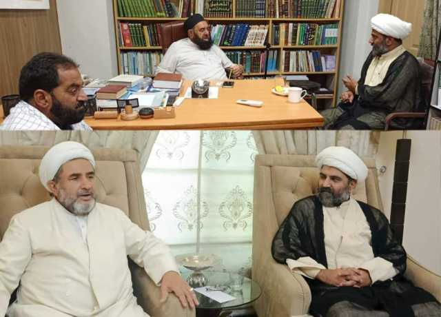 نصاب تعلیم میں متنازع نکات کی اصلاح ناگزیر ہے، علامہ مقصود ڈومکی