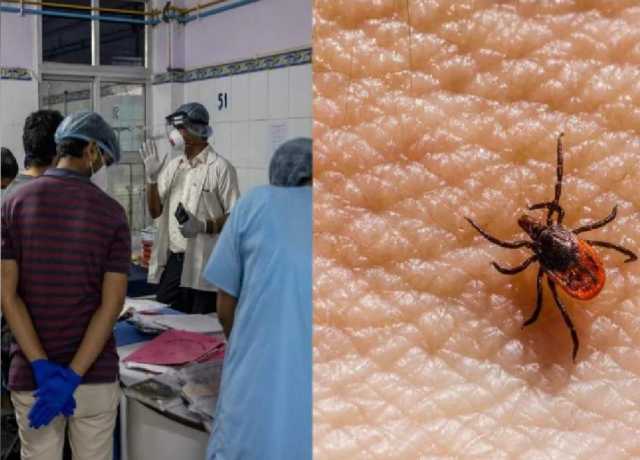 پشاور میں کانگو وائرس سے دو افراد جاں بحق