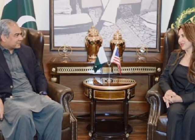 امید ہے ڈونلد ٹرمپ غزہ میں بھی جنگ بندی کرائیں گے، محسن نقوی