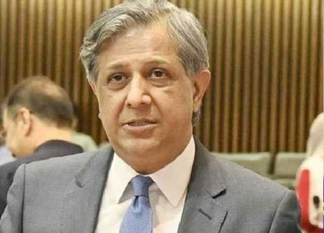 جو جماعتیں الیکشن میں حصہ لیں انہیں مخصوص نشستیں ملتی ہیں، اعظم نذیر تارڑ
