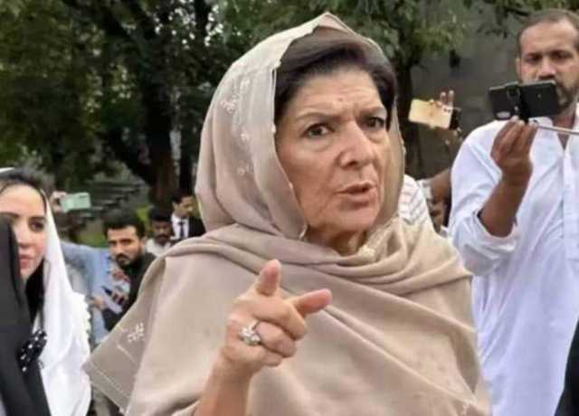 سب تحریک پر فوکس کریں، سلیمان اور قاسم بھی حصہ لینا چاہتے ہیں، علیمہ خان