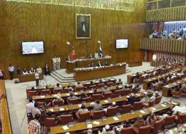 25 مئی کو 'یومِ دوستی پاکستان و افریقہ' قرار دیا جائے، سینیٹ میں قرارداد کل پیش کی جائیگی