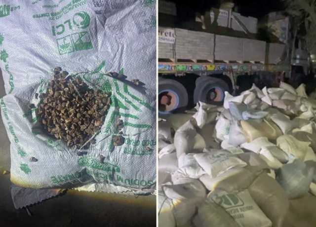 ٹف ٹائلز کی آڑ میں 24 لاکھ روپے کی چھالیہ کراچی اسمگل کرنے کی کوشش ناکام