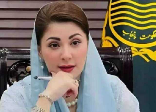 مریم نواز نے محکمہ جنگلات میں برانچ لیس بینکاری نظام نافذ کردیا