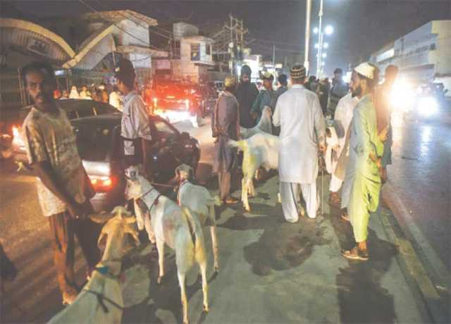 کراچی بھر میں پابندی کے باوجود غیر قانونی مویشی منڈیاں قائم